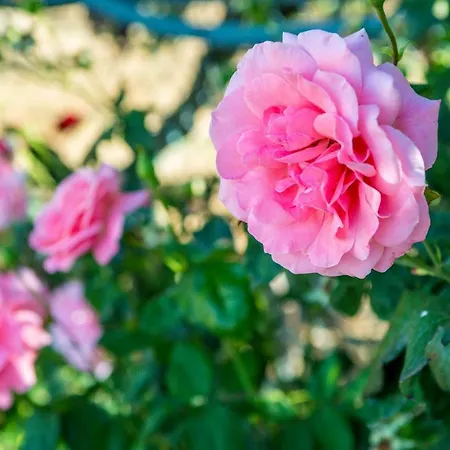 Quinta Montebelo Hébergement de vacances Vila Franca de Xira