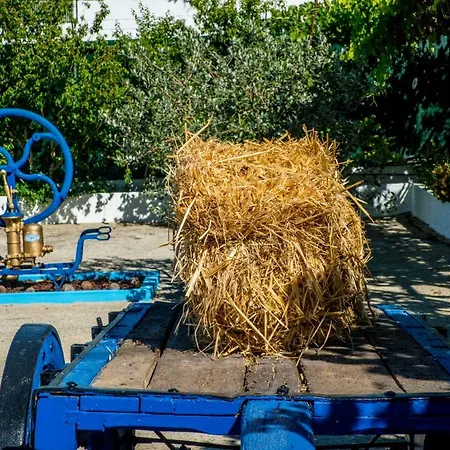 Quinta Montebelo بيت للعطل فيلا فرانكا دي شيرا