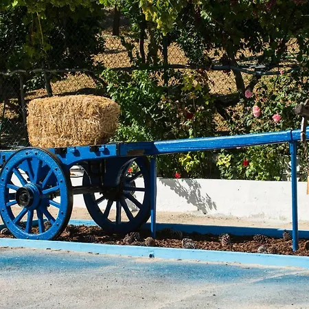 Hébergement de vacances Quinta Montebelo *